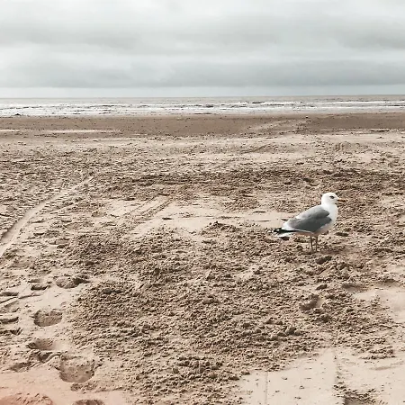 Eureka Vakantiehuisjes Chalé Schoorl