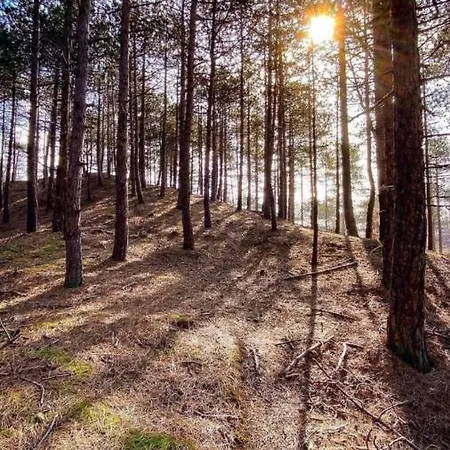 Chalé Eureka Vakantiehuisjes Schoorl
