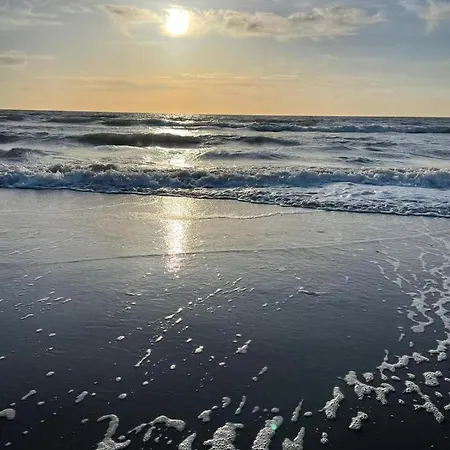 Eureka Vakantiehuisjes Chalé Schoorl