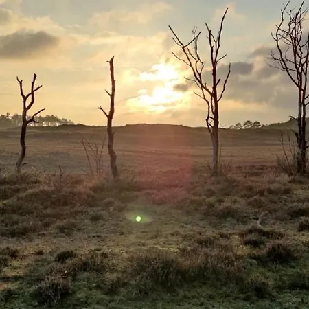 Eureka Vakantiehuisjes
