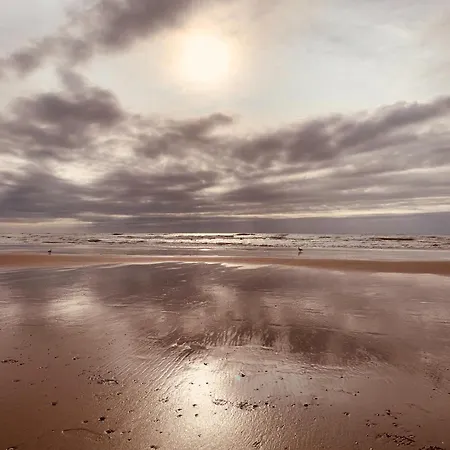 Eureka Vakantiehuisjes Schoorl