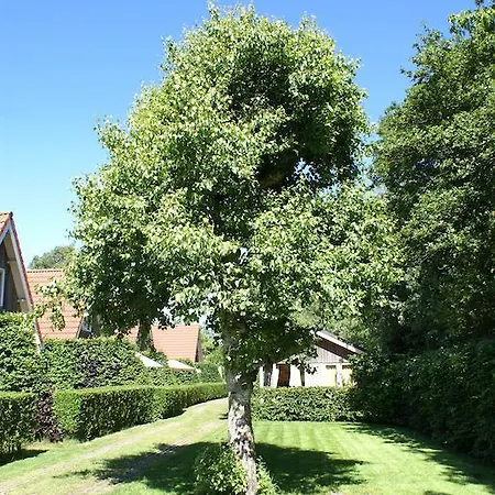 Chalé Eureka Vakantiehuisjes