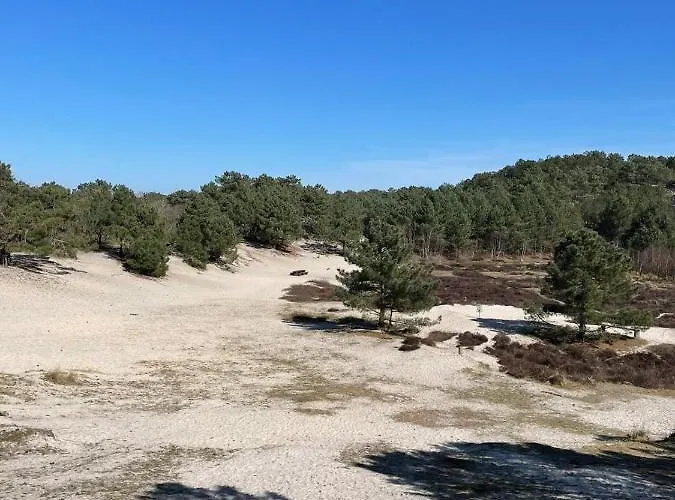 Chalet Eureka Vakantiehuisjes