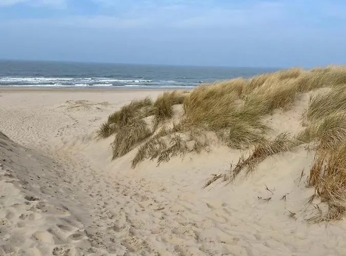 Eureka Vakantiehuisjes Chalet *