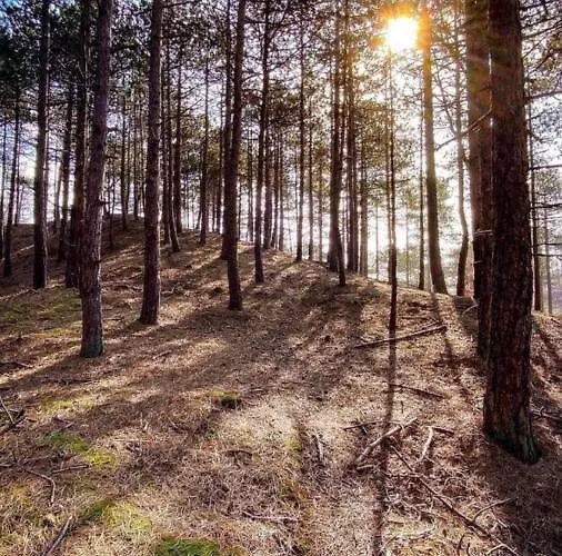 Chalet Eureka Vakantiehuisjes Schoorl