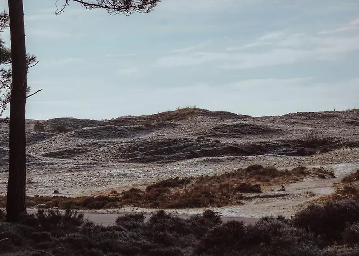 Eureka Vakantiehuisjes Chalet