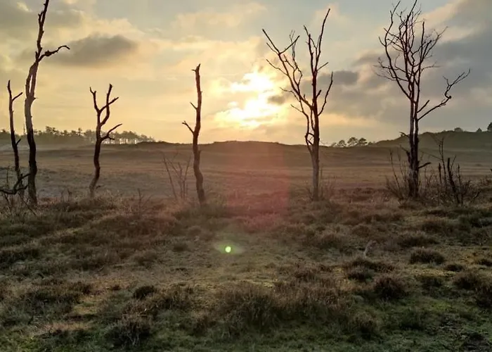 Eureka Vakantiehuisjes