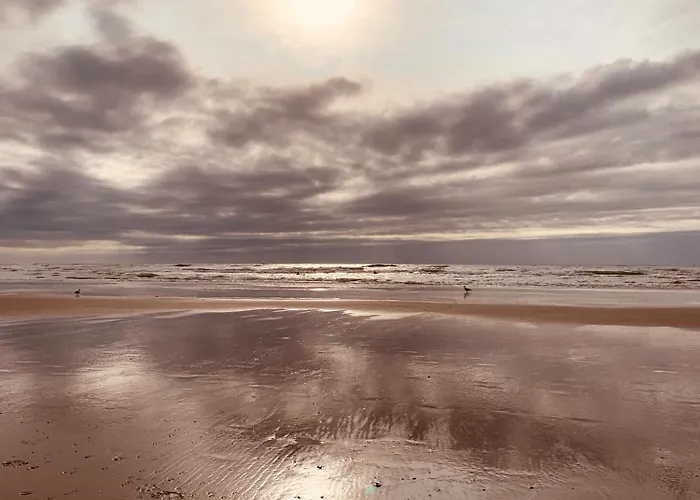 Eureka Vakantiehuisjes Schoorl